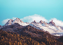 华体会正版下载：开启官方体验的新篇章